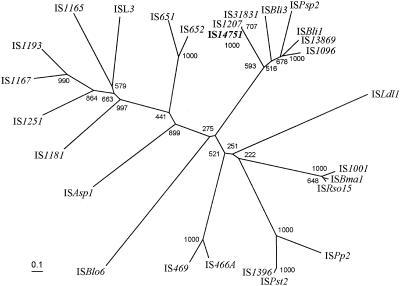 FIG. 3.