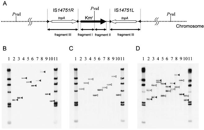 FIG. 8.