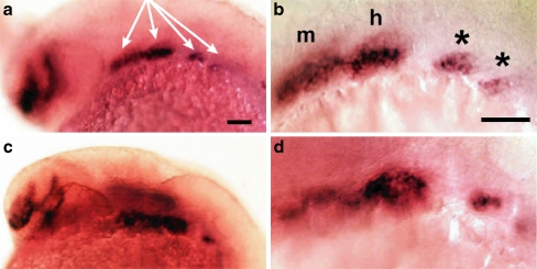 Fig. 3