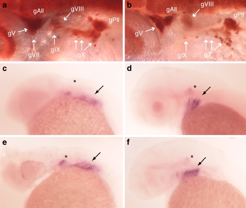 Fig. 7