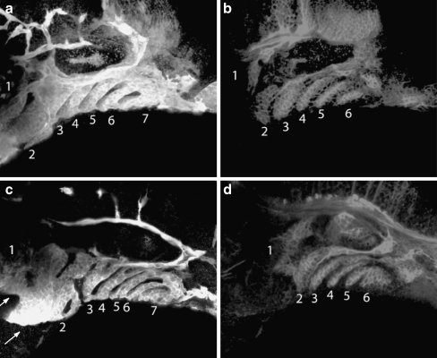 Fig. 4