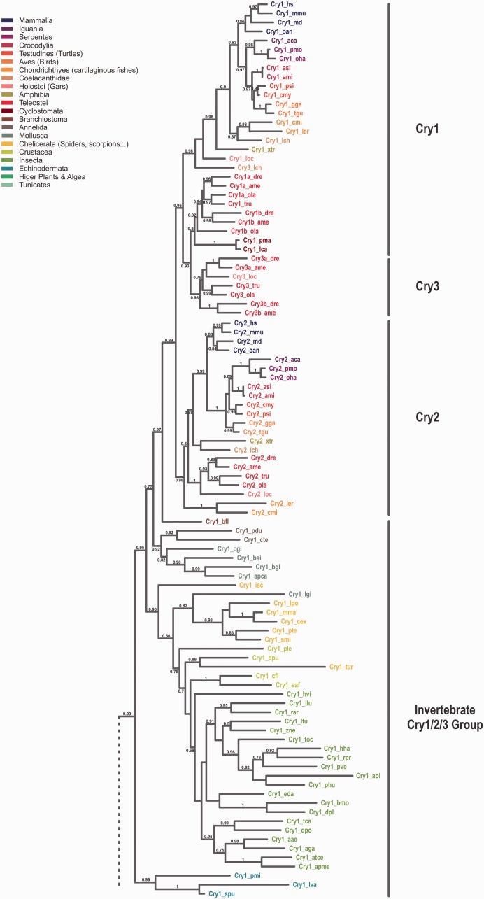 Fig. 1.—