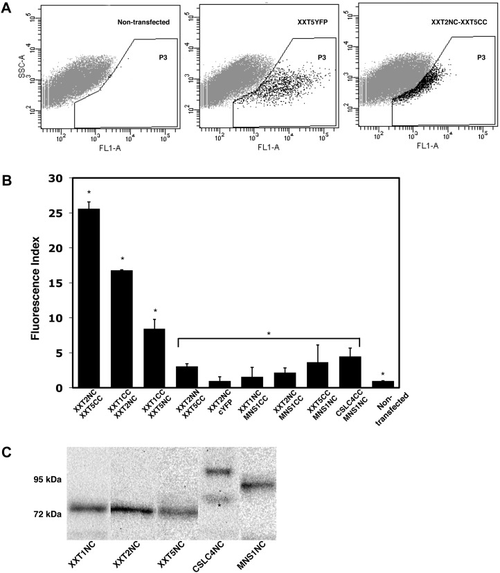 Figure 3.