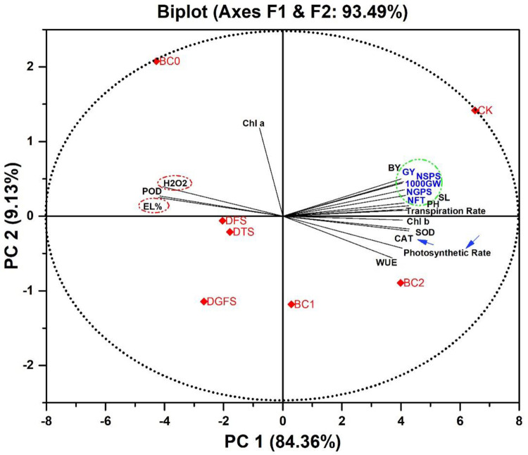 Fig 7