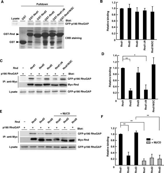 FIGURE 6: