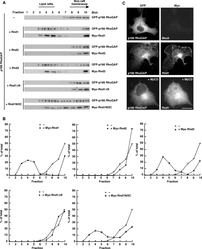 FIGURE 7: