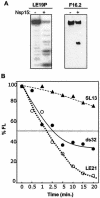 FIG. 5.