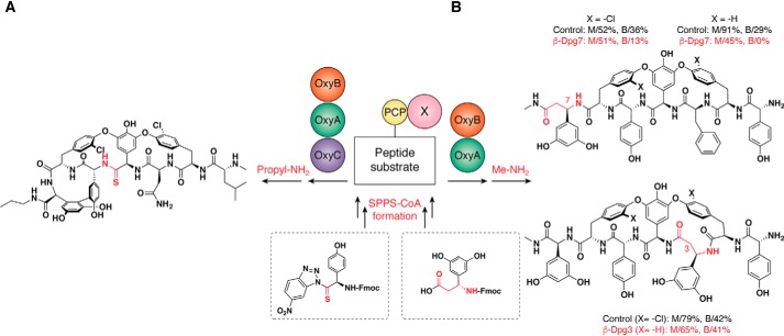 Figure 6.