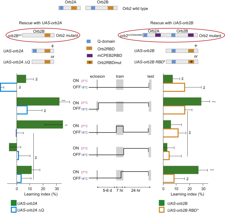 Figure 6