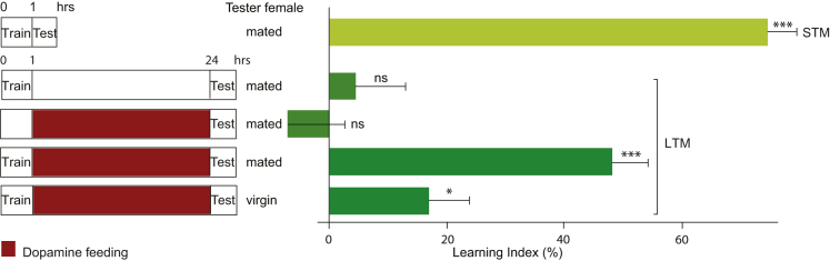 Figure 1