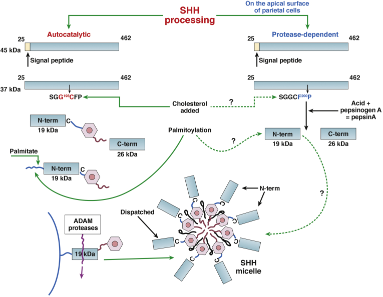 Figure 2