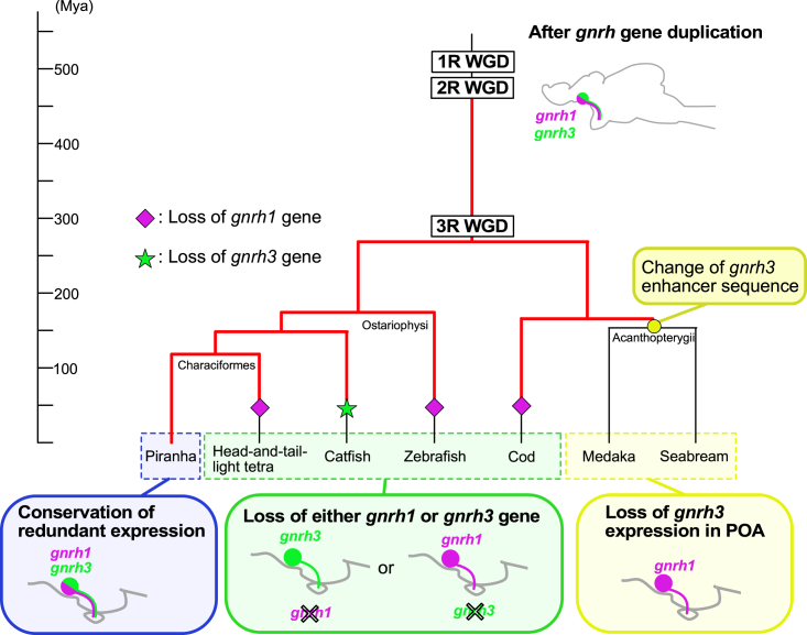 Figure 5