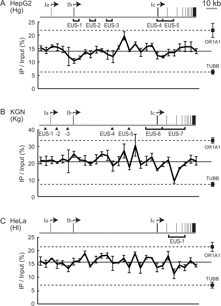 Fig 5