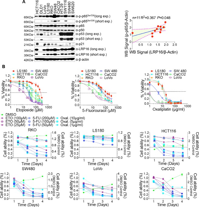 Figure 2—figure supplement 1.