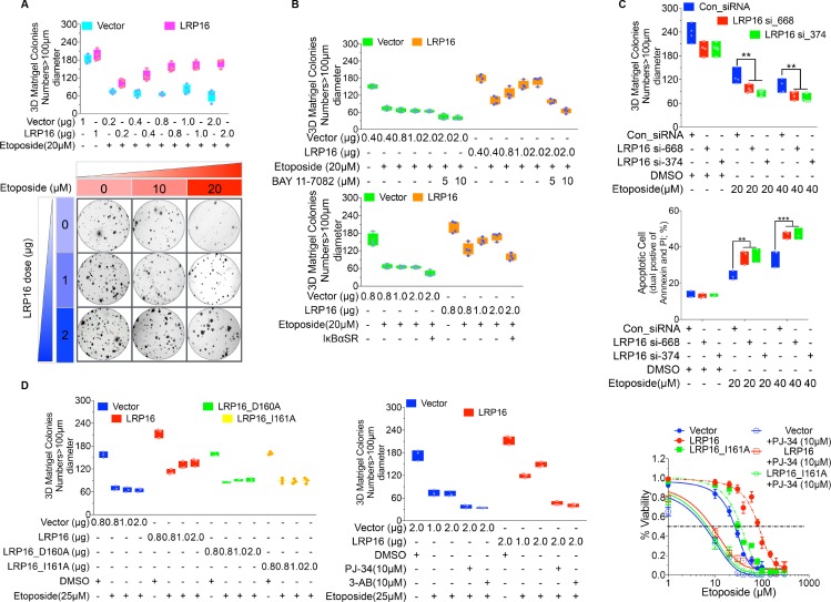 Figure 2—figure supplement 3.