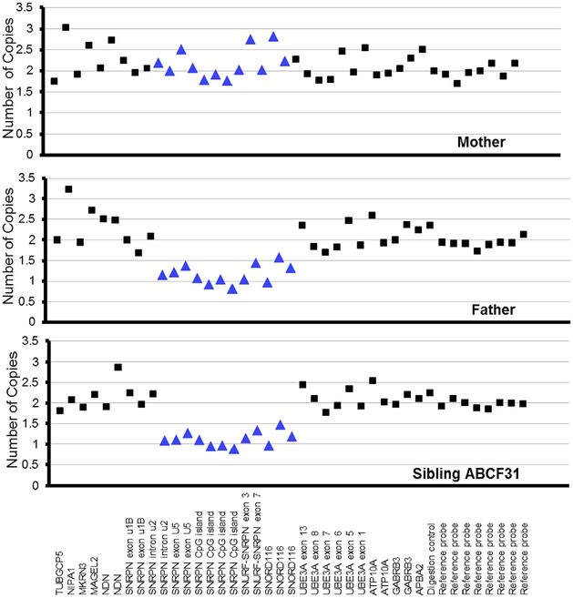 FIGURE 3