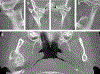 Fig. 4.