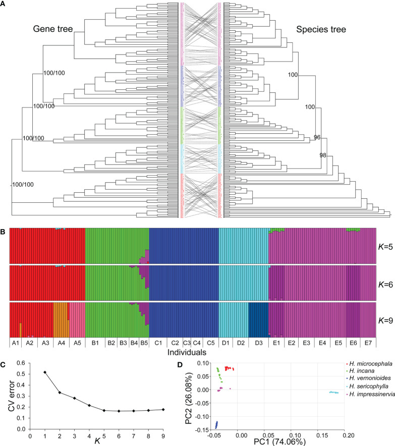 Figure 3