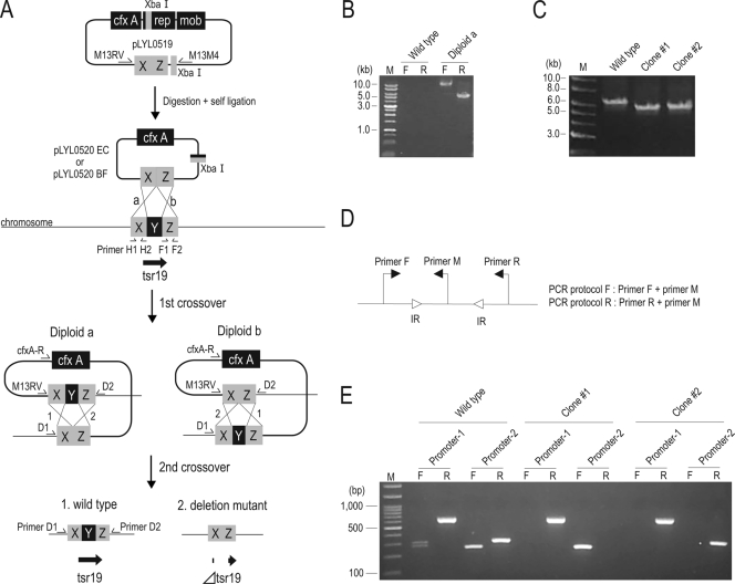 FIG. 4.