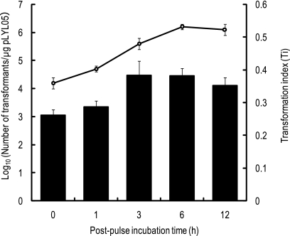 FIG. 2.