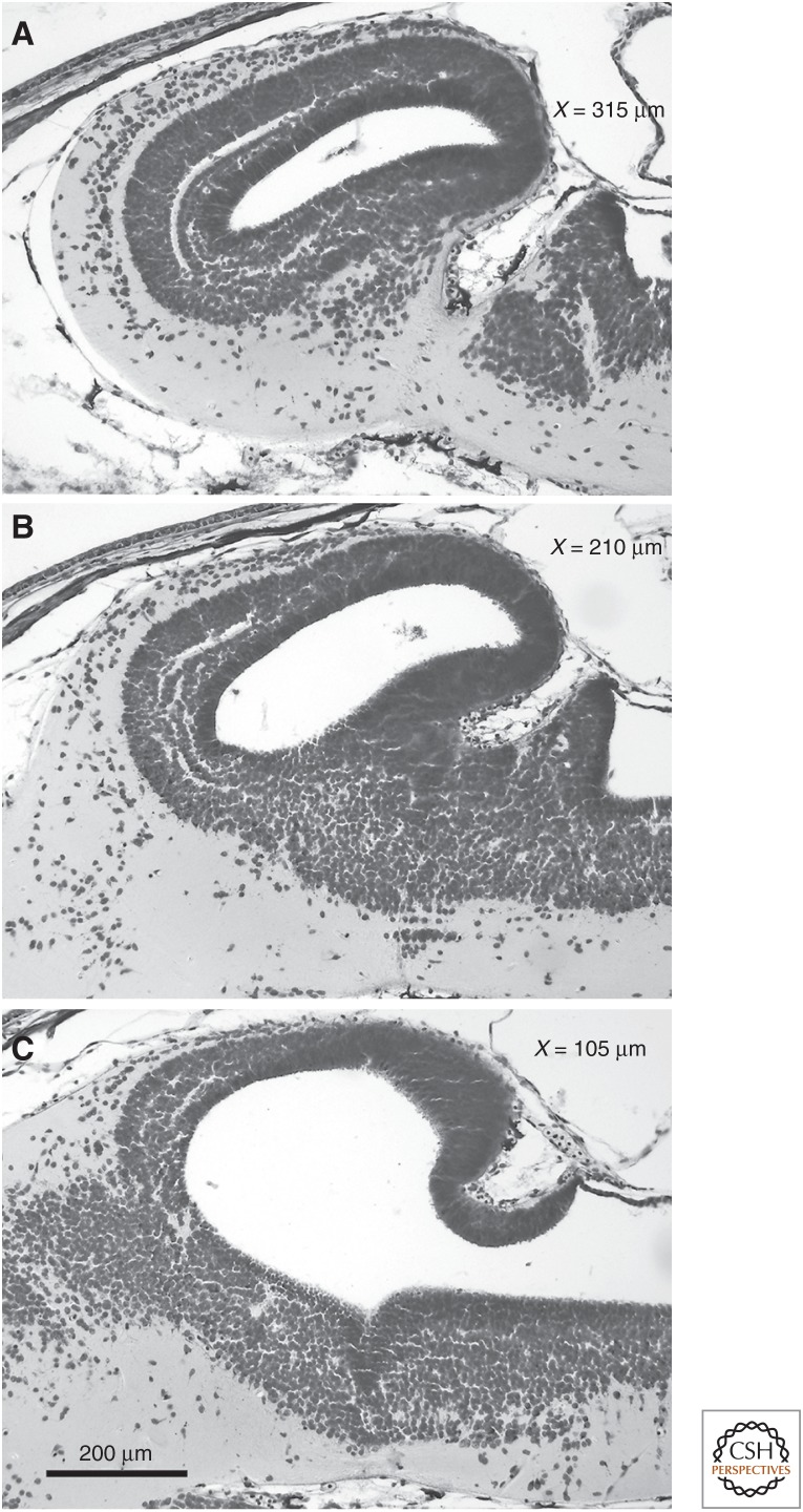 Figure 6.