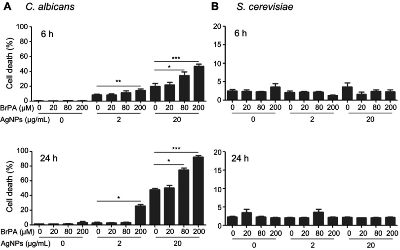 Figure 10