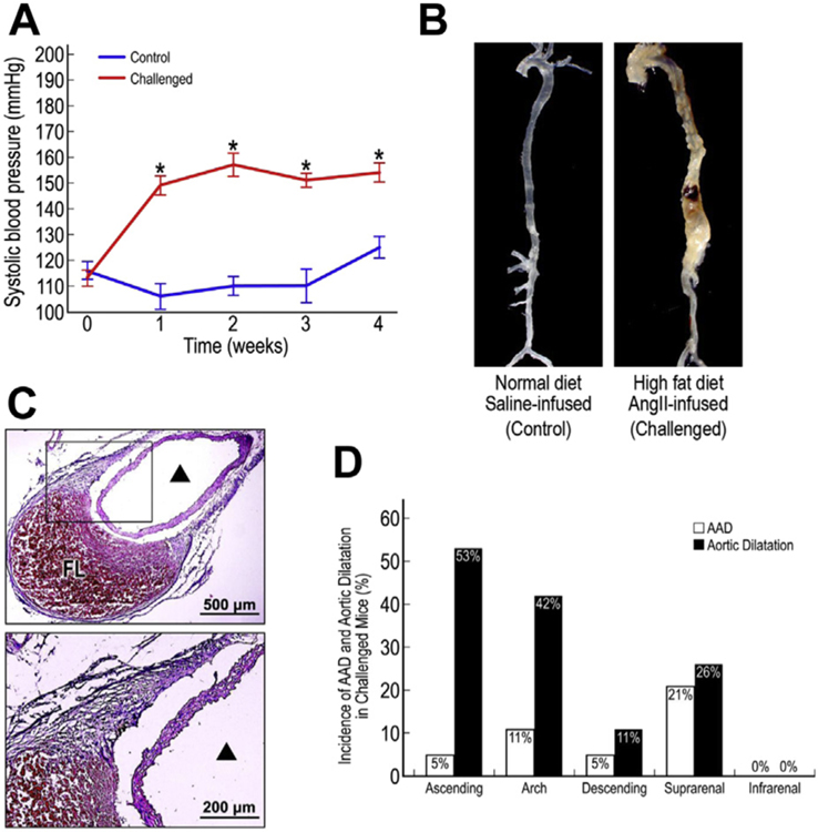 Fig. 1 –