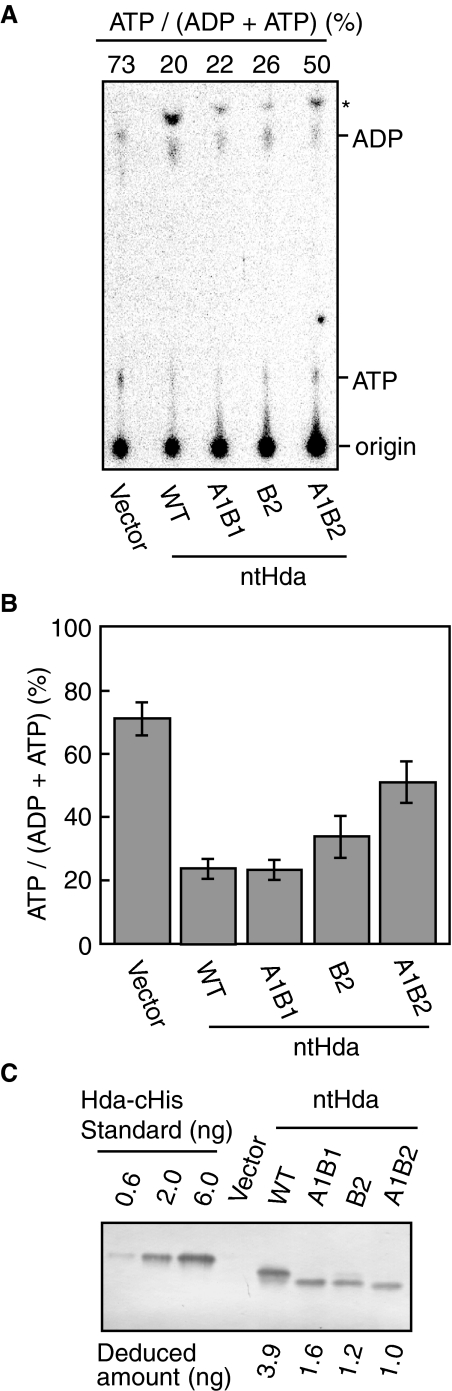 FIGURE 7.