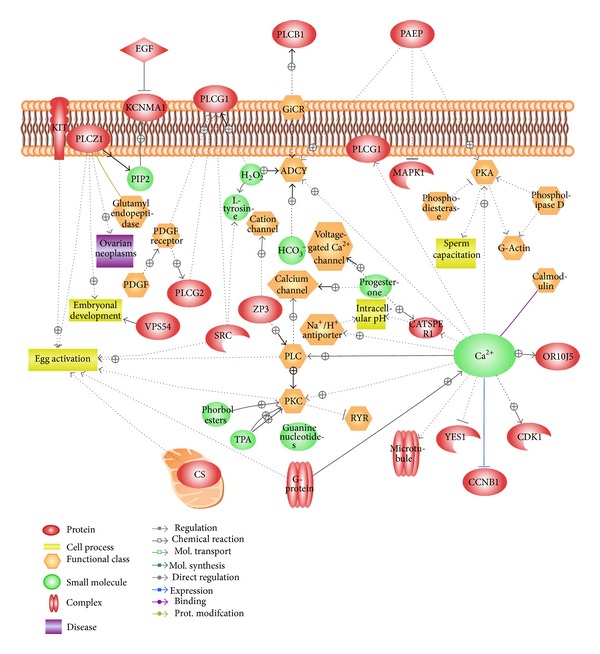 Figure 6