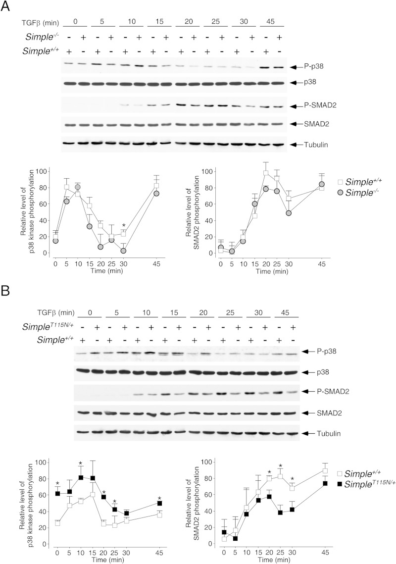 FIG 8