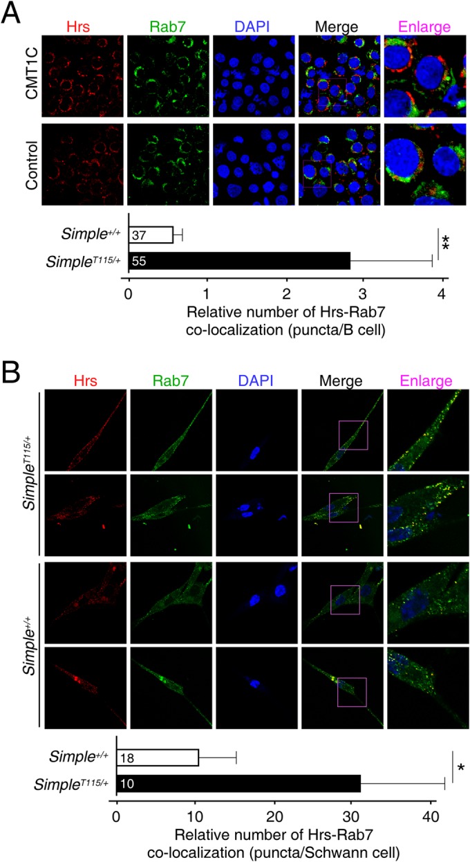 FIG 2