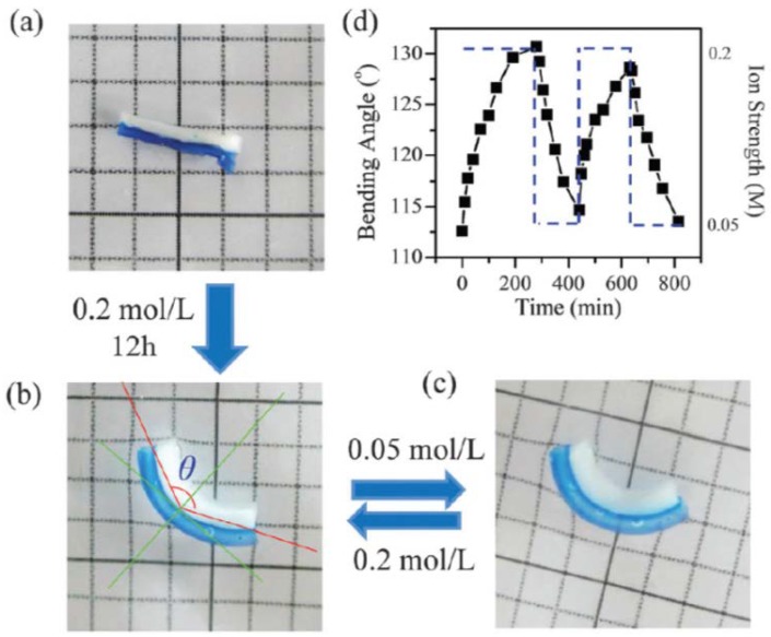 Figure 13