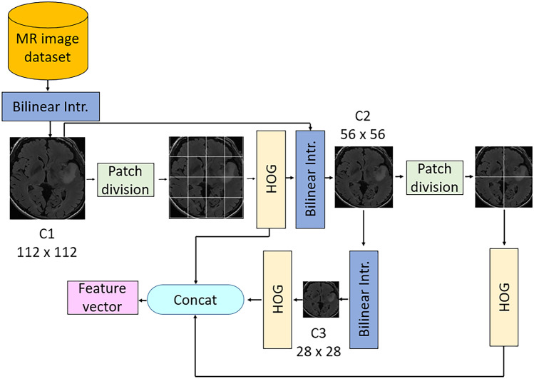 Fig. 2