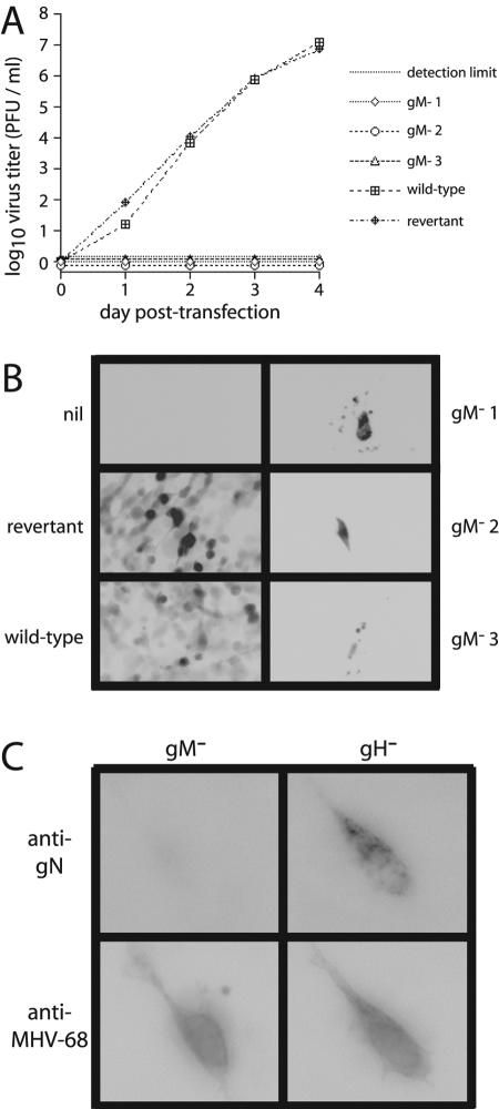 FIG. 3.