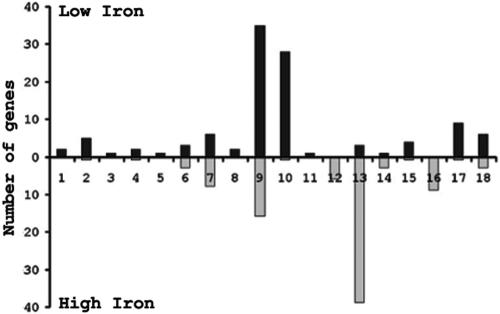 FIG. 3.