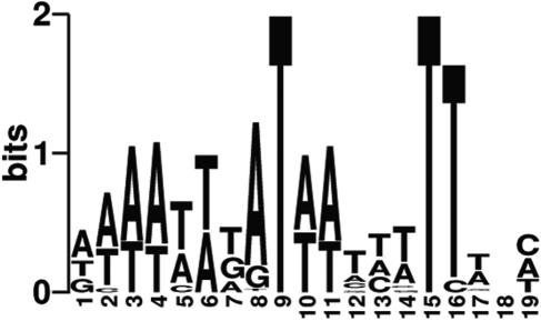 FIG. 4.