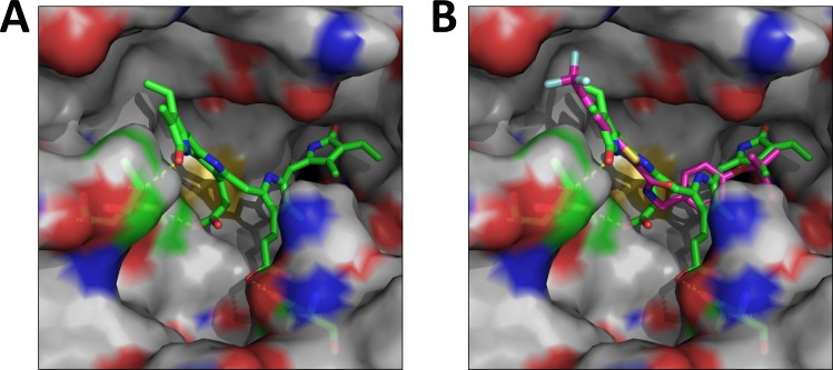 Fig 2