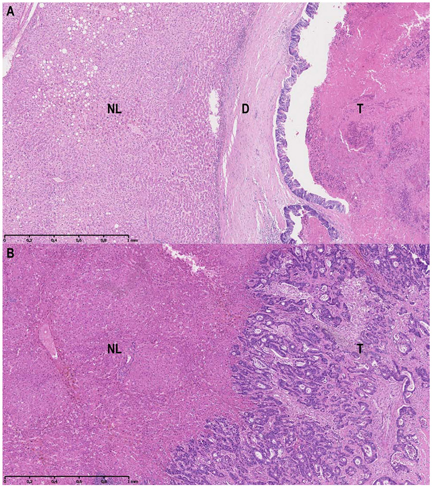 Figure 1A-B.