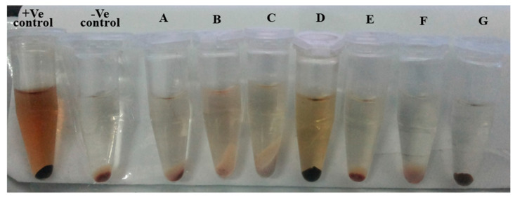 Figure 19