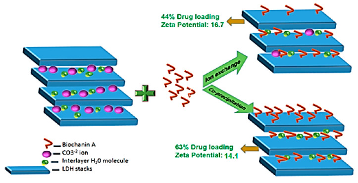 Figure 13