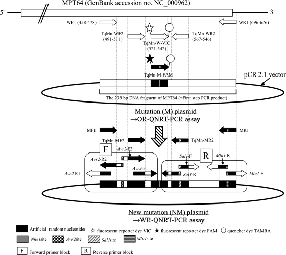 FIG. 1.