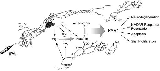 Fig. 5.