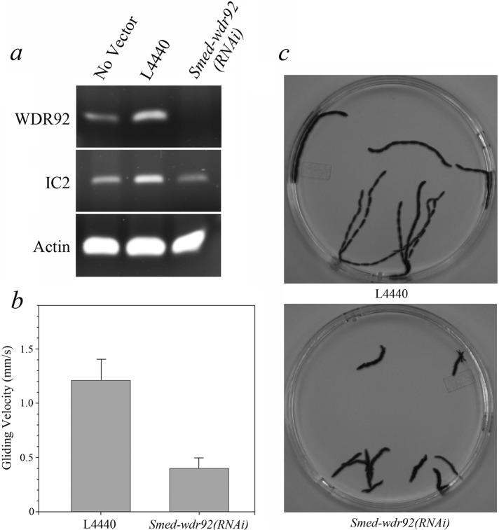 FIGURE 3: