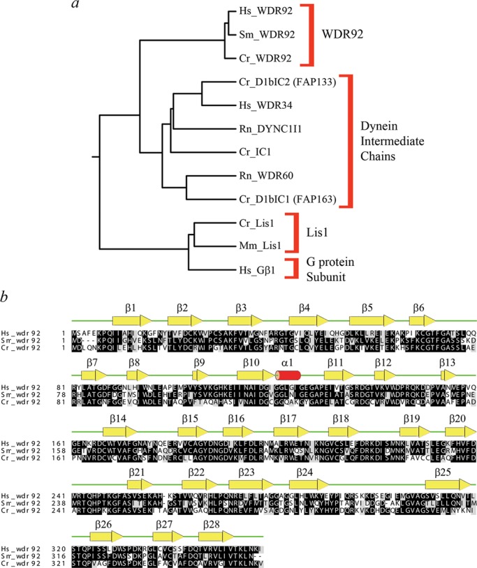 FIGURE 1: