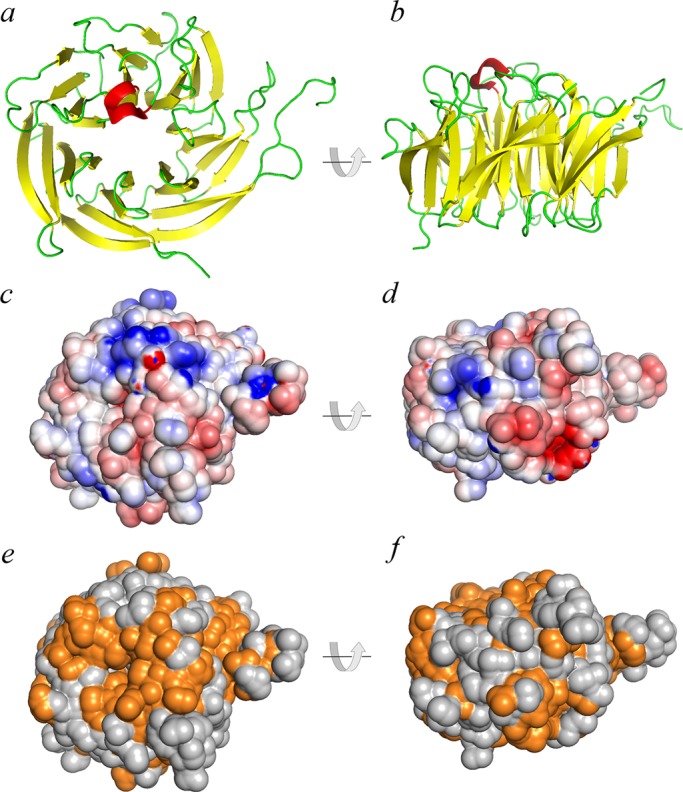 FIGURE 2: