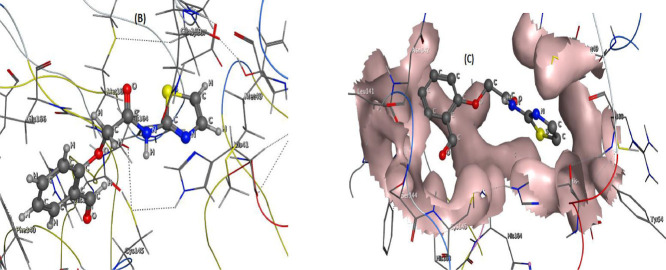 Image, graphical abstract