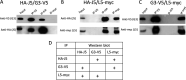 FIG 7