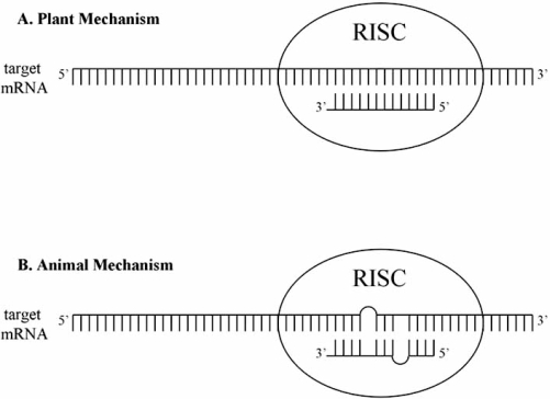 Fig. (2)