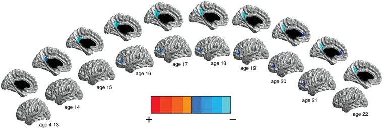 Figure 1.