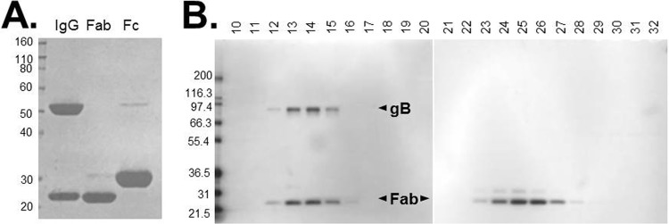 FIG 2